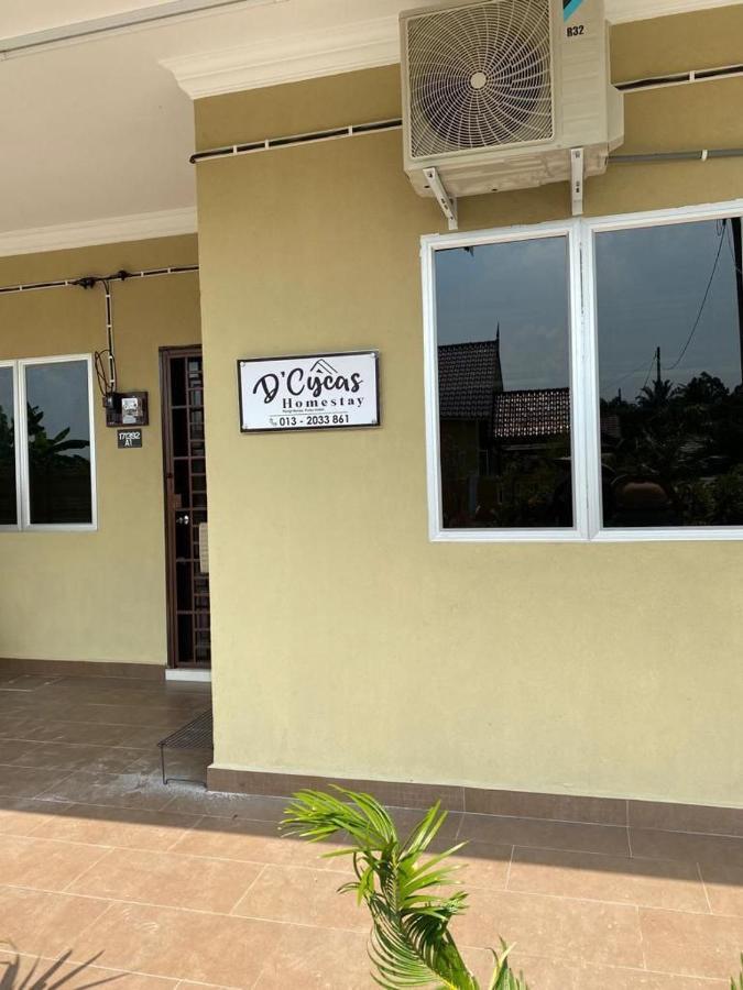 D'Cycas Homestay بولاو انداه المظهر الخارجي الصورة